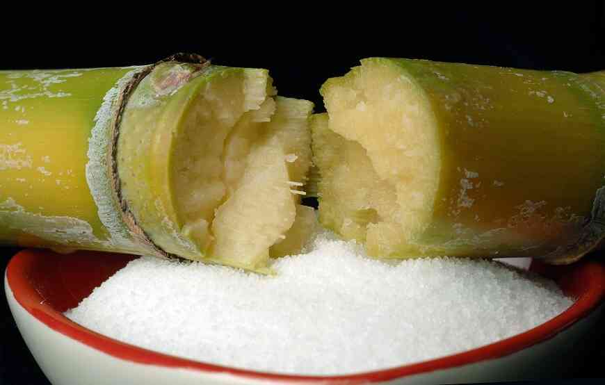 Sugarcane 